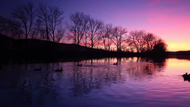 Atardecer Río Berounka República Checa Paisaje Simetría Atardecer — Vídeo de stock