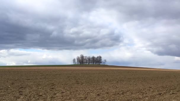 耕田上的一组树木 空旷的田野上的春天的风景和戏剧性的天空 — 图库视频影像