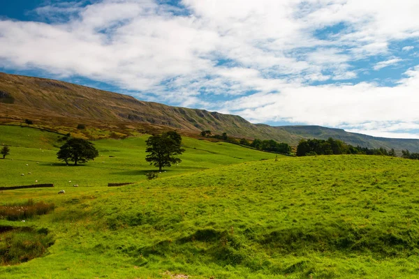 El paisaje típico del Parque Nacional Yorkshire Dales, Great Br — Foto de Stock