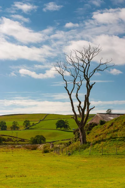 Typowy krajobraz w parku narodowym Yorkshire Dales, Great br — Zdjęcie stockowe