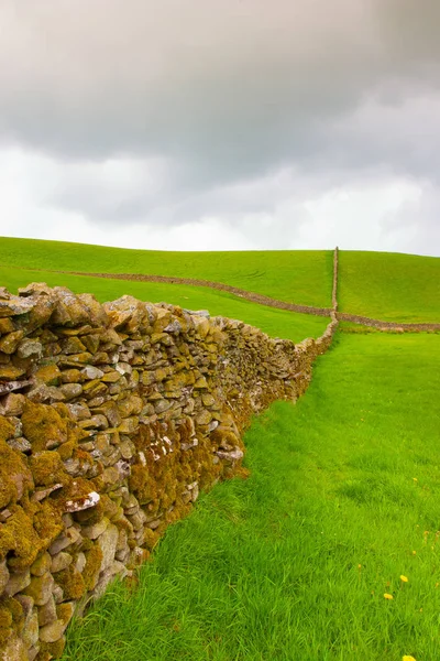 The typical landscape in Yorkshire Dales National Park, Great Br. — стоковое фото