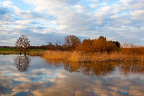 Zlatá podzimní tráva na jezeře. — Stock fotografie
