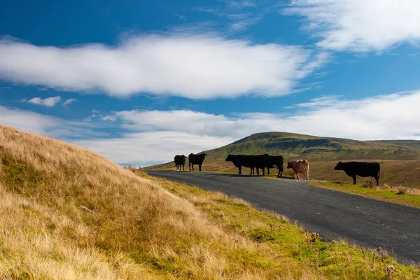 Det typiska landskapet i Yorkshire Dales nationalpark, Great br — Stockfoto