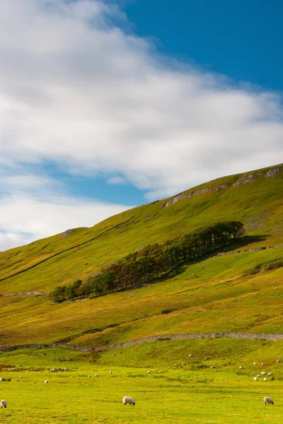 Die typische landschaft im yorkshire dales nationalpark, großartige br — Stockfoto