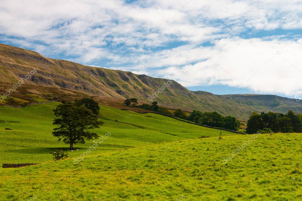 The typical landscape in Yorkshire Dales National Park, Great Br