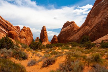 Arches National Park, Moab, Utah, ABD.  