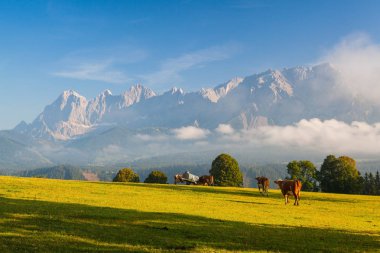 mera üzerinde sabah sis içinde