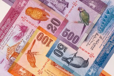 Sri Lankalı banknotlar simetrik bileşimi.