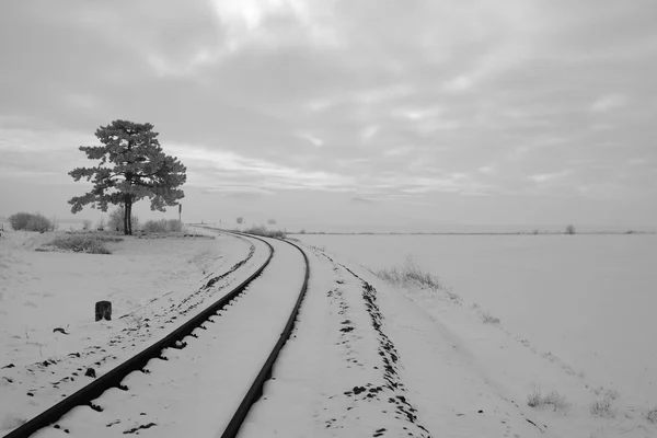 冬季景观的单轨铁路。捷克共和国 — 图库照片