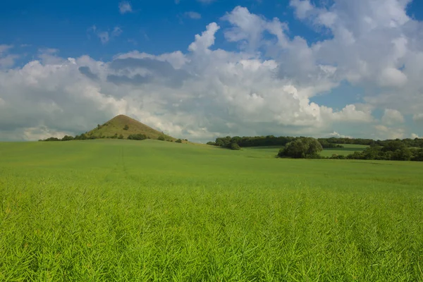 Zicht op Cicov Hill in Tsjechisch Bohemian Highlands, Tsjechië — Stockfoto