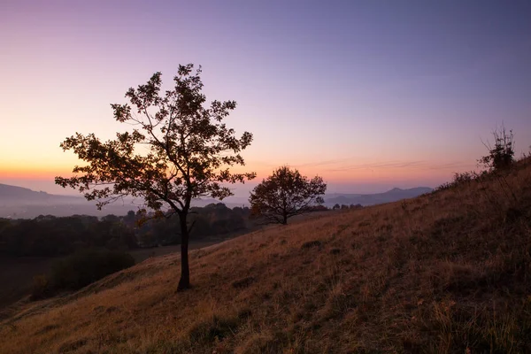 Morning in Central Bohemian Uplands, Czech Republic.