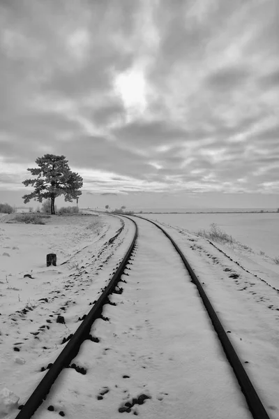 冬季景观的单轨铁路。捷克共和国 — 图库照片