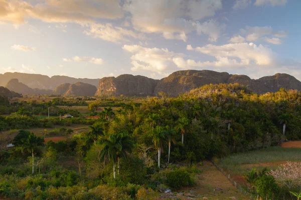 Berühmtes kubanisches Tabakgebiet bei Sonnenuntergang, valley de vinales, c — Stockfoto