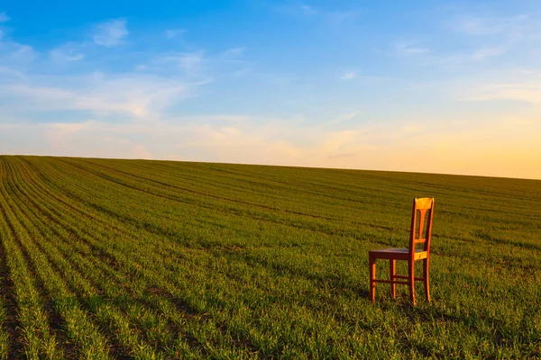 Coucher de soleil avec vieille chaise dans le champ de printemps . — Photo