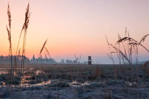 Охотник наблюдательной башни на поле на восходе солнца . — стоковое фото