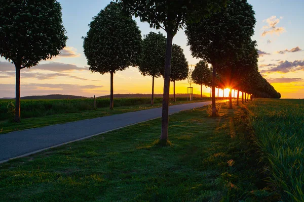 Weg mitten in der Gasse bei Sonnenuntergang. — Stockfoto