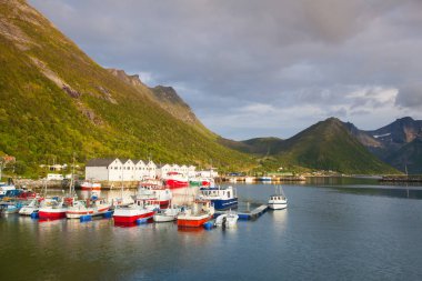 Senja adasında ki balıkçı limanı, Norveç