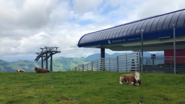 Alpbach Österrike Augusti 2019 Utsikt Från Bergstoppen Ovanför Alpbachtal Dalen — Stockvideo