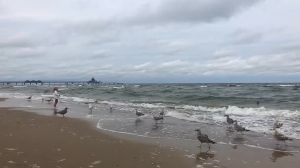德国赫林斯多夫 2019年8月1日 在赫林斯多夫码头的海滩上 赫林斯多夫码头 Heringsdorf Pier 是位于赫林斯多夫的一个码头 全长508米 延伸至德国乌塞敦岛上的波罗的海 — 图库视频影像