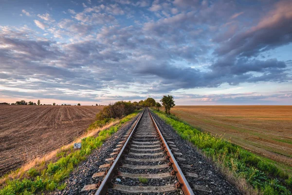 Velhos trilhos ferroviários que atravessam um trecho de campo para o campo — Fotografia de Stock
