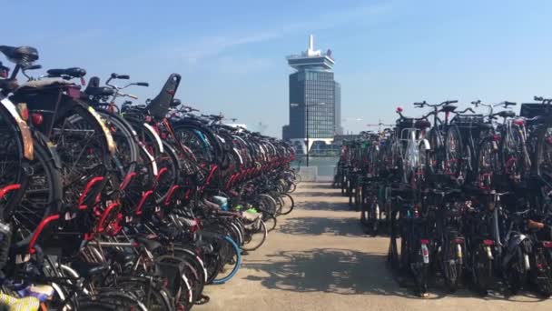 Amsterdam Nederland Augustus 2019 Gvb Amsterdam Ferry Ijveer Dienst Tussen — Stockvideo