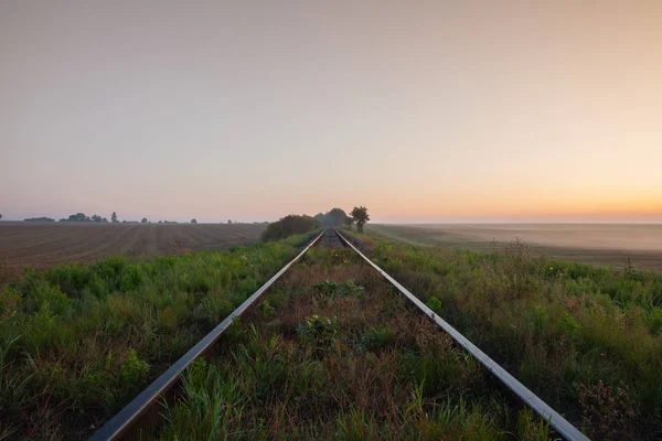 Staré železniční tratě v ranní mlze — Stock fotografie