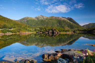 Lofoten Adaları üzerindeki küçük limanda, Norveç