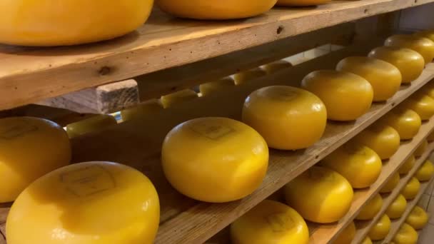 Volendam Nizozemsko Říjen 2019 Sýrová Továrna Jednou Nejnovějších Atrakcí Centru — Stock video