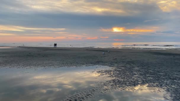 Zandvoort Sahilinde Gün Batımı Amsterdam Yakınlarında Bulunan Temiz Kumsalları Popüler — Stok video