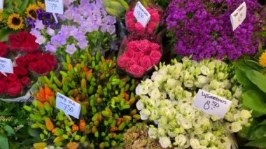 Amsterdam 'daki çiçek pazarı. Dünyadaki tek yüzen çiçek pazarı ve tüm mevsimlerde Amsterdam 'ın en güzel kokulu yerlerinden biridir..