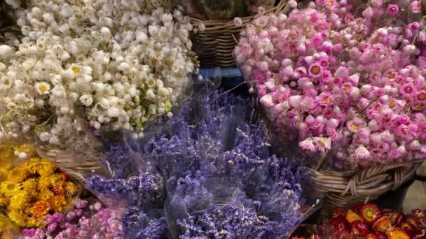 阿姆斯特丹的花市 它是世界上唯一的漂浮的花卉市场 也是阿姆斯特丹一年四季最芬芳的名胜之一 — 图库视频影像