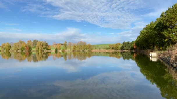 Fazenda Para Reprodução Peixes Manhã Lagoa Reprodução República Checa — Vídeo de Stock
