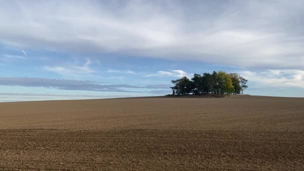 Groep Bomen Geploegd Gebied Lente Landschap Dramatische Hemel Het Lege — Stockvideo