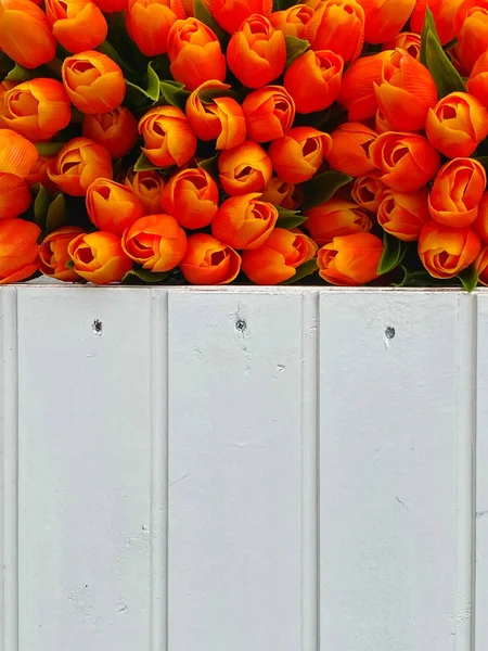 Tulipes en bois dans la boutique de Volendam . — Photo