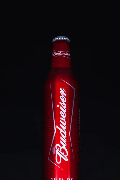Prague Czech Republic 2020 Budweiser Brand Beer Bottle Black Studio — 스톡 사진