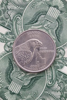Idaho 'nun dörtte biri Amerikan doları. Amerikan dolarlarının simetrik bileşimi ve Idaho 'nun çeyreği.