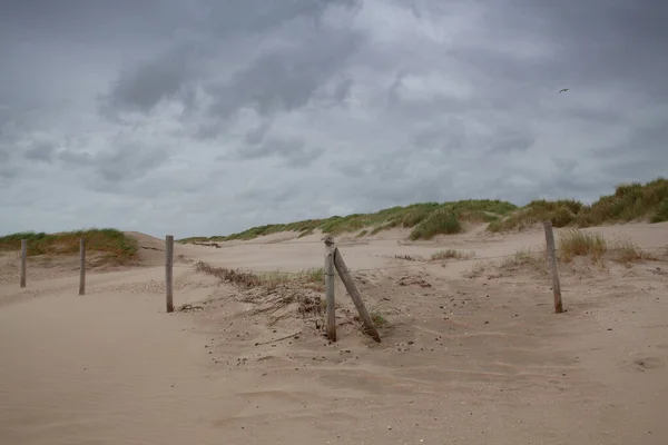 Plaża Hargen Aan Zee Holandii Bez Zagranicznych Turystów Pandemii Koronawirusowej — Zdjęcie stockowe