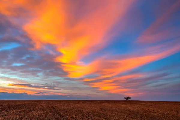 Erstaunlicher Sonnenuntergang Auf Dem Leeren Feld Nach Der Ernte Tschechien — Stockfoto