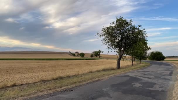 Drodze Między Pustym Polem Zbiorach Letni Wieczór Czechy Niesamowity Zachód — Wideo stockowe