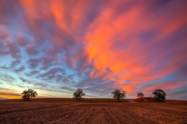 Geweldige Zonsondergang Het Lege Veld Het Oogsten Tsjechië Geweldige Zonsondergang — Stockfoto