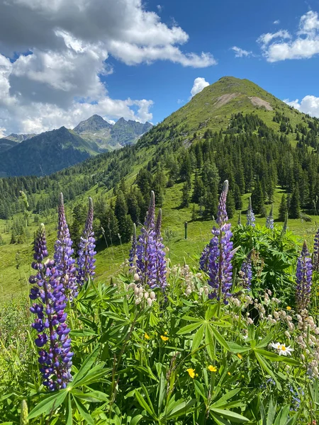 Paisagem Verão Perto Montanha Krahbergzinken Áustria Krahbergzinken Uma Montanha Situada — Fotografia de Stock