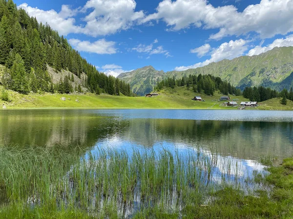 Lago Duisitzkarsee Austria Duisitzkarsee Probabilmente Uno Dei Laghi Montagna Più — Foto Stock