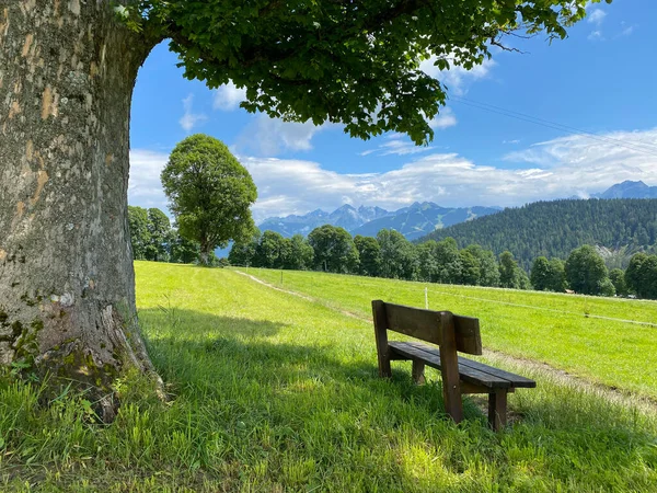 Paisagem Com Banco Ramsau Dachstein Áustria Esta Maravilhosa Área Pastagens — Fotografia de Stock