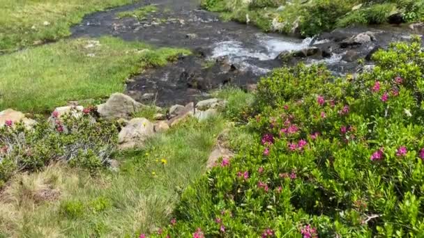 Озеро Гіглачзе Styrian Tauern Austria Місце Туристів Після Вінцевої Пандемії — стокове відео