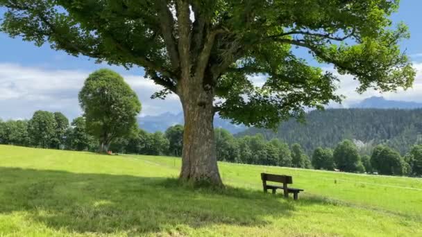 Landskap Med Bänk Ramsau Dachstein Österrike Detta Underbara Område Alpina — Stockvideo
