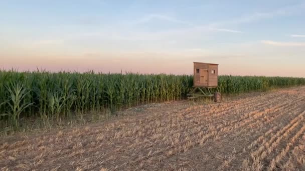 收割后 在玉米地和空旷的田野之间的观望塔 阳光灿烂的天气下 全景与修剪过的麦田相映成趣 捷克共和国 — 图库视频影像