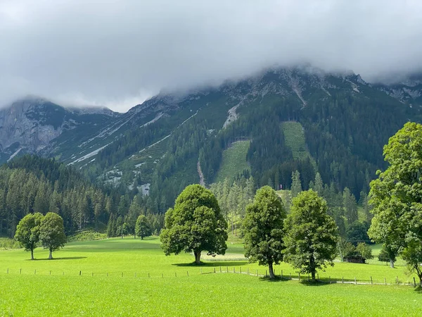 Paisagem Ramsau Dachstein Áustria Esta Maravilhosa Área Pastagens Alpinas Sopé — Fotografia de Stock
