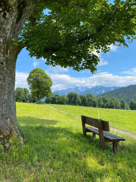 Landschap Met Bankje Ramsau Dachstein Oostenrijk Dit Prachtige Gebied Van — Stockfoto
