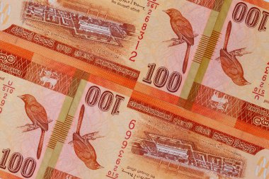 Sri Lanka banknotlarının simetrik bileşimi. Rupi, Sri Lanka 'nın ulusal para birimi..