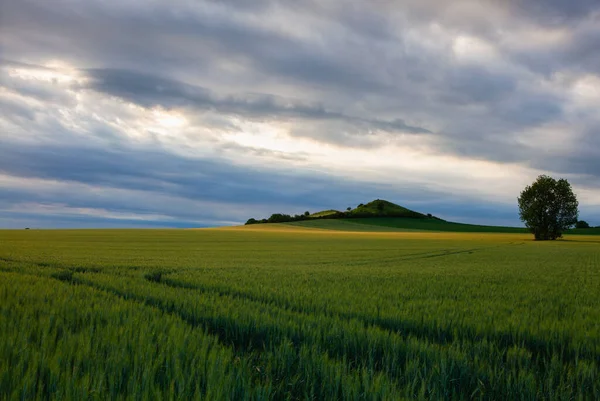 Τοπίο Στο Central Bohemian Highlands Τσεχία Κεντρική Bohemian Uplands Είναι — Φωτογραφία Αρχείου